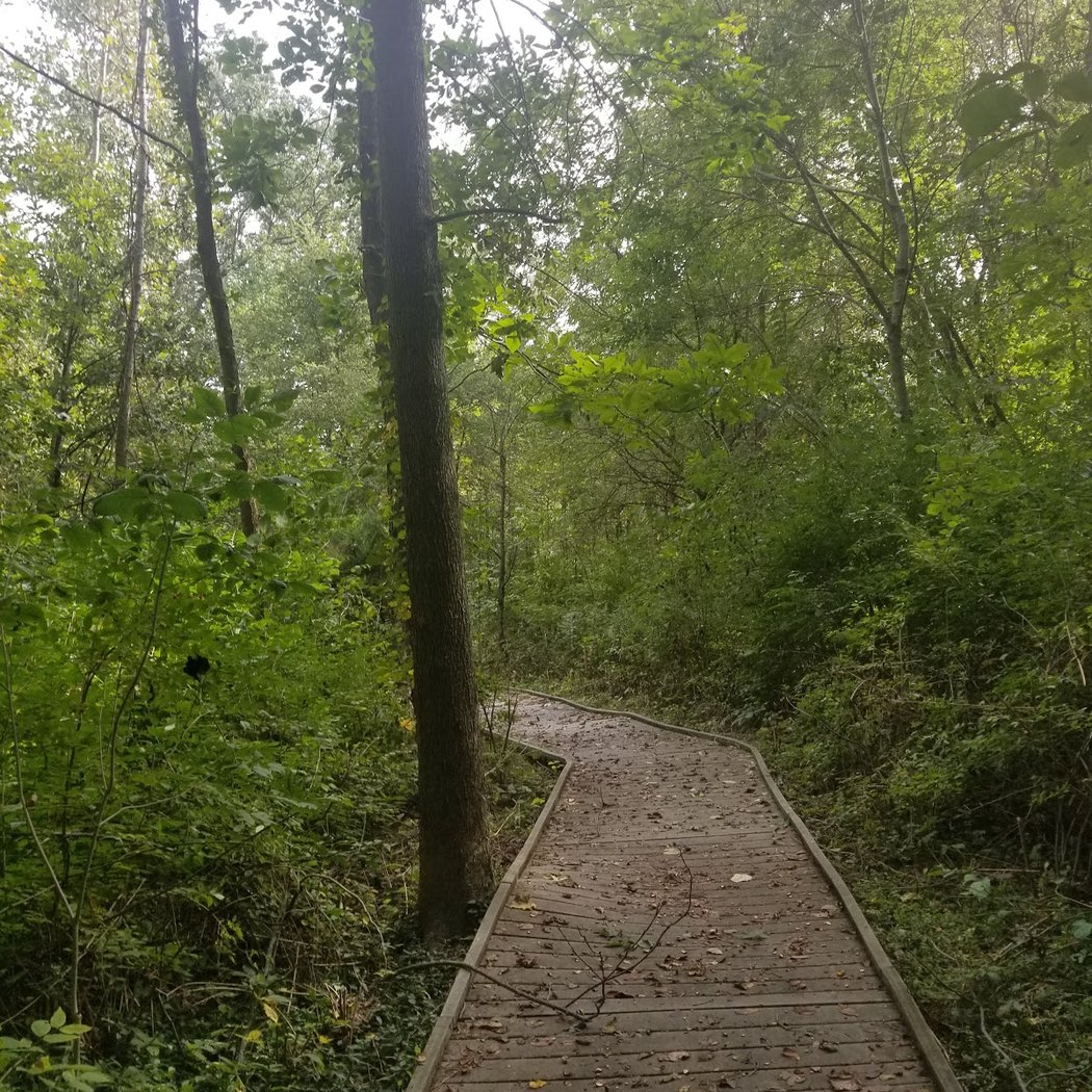 Shawnee Prairie Preserve & Nature Center 5